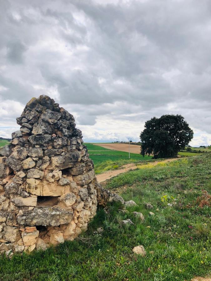 Apartamentos Ribera Del Duero Las Escuelas Vadocondes Bagian luar foto